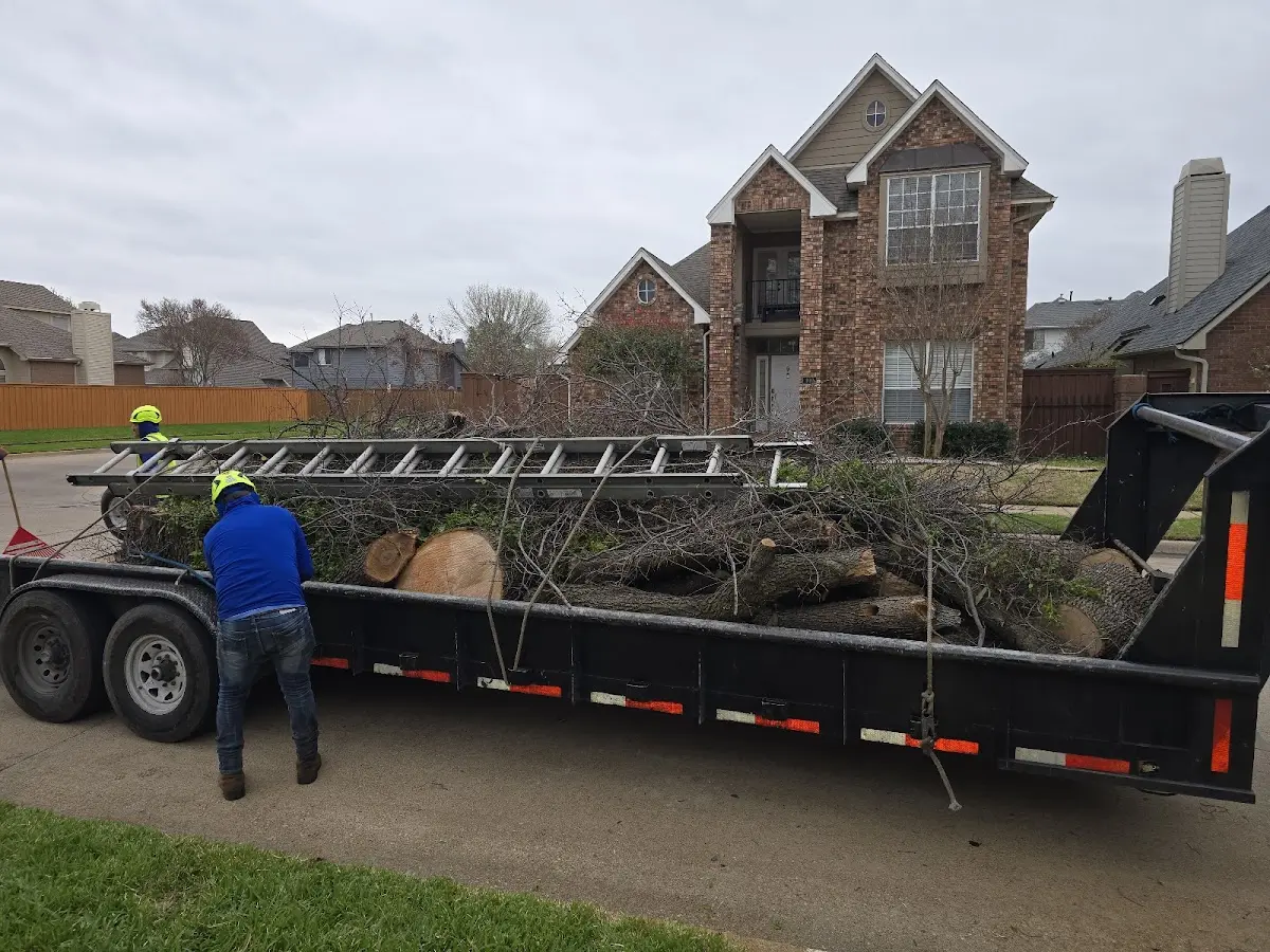Expert Lot Clearing with proper safety equipment in Holly Bluff